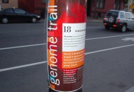 Cambridge Science Festival poster